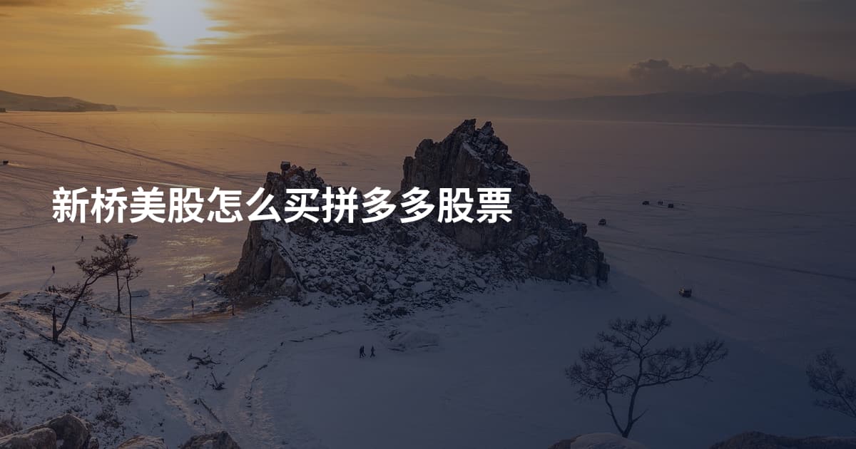 新桥美股怎么买拼多多股票