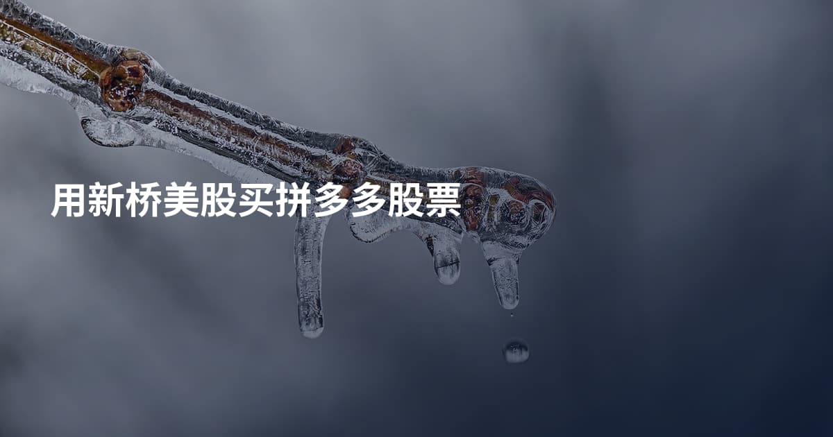 用新桥美股买拼多多股票