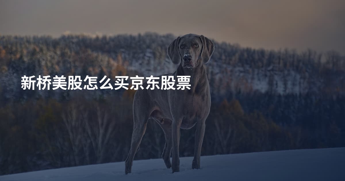 新桥美股怎么买京东股票