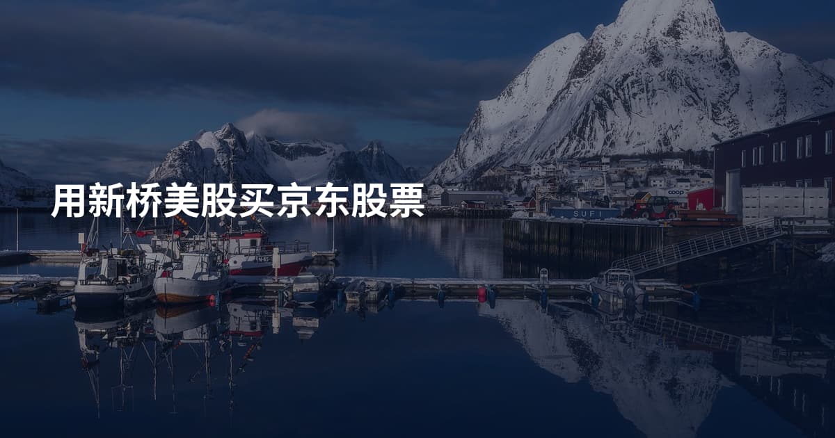 用新桥美股买京东股票