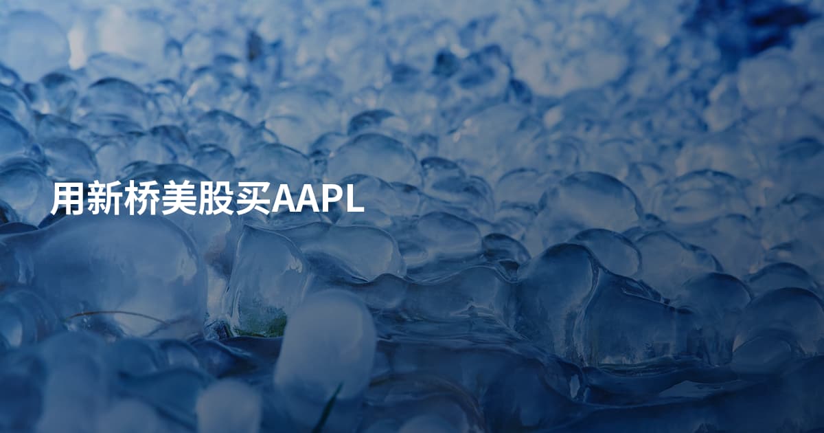 用新桥美股买AAPL