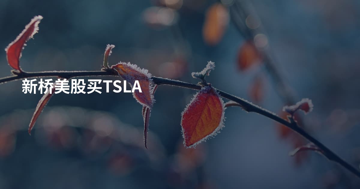 新桥美股买TSLA