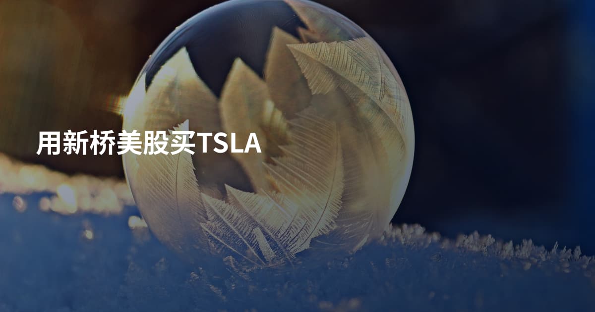 用新桥美股买TSLA