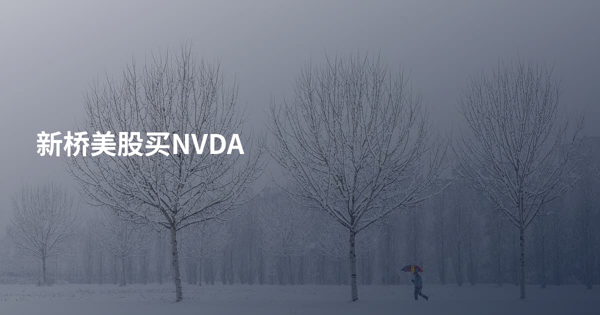 新桥美股买NVDA