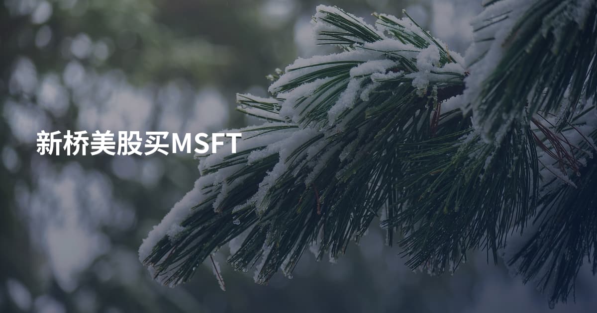 新桥美股买MSFT