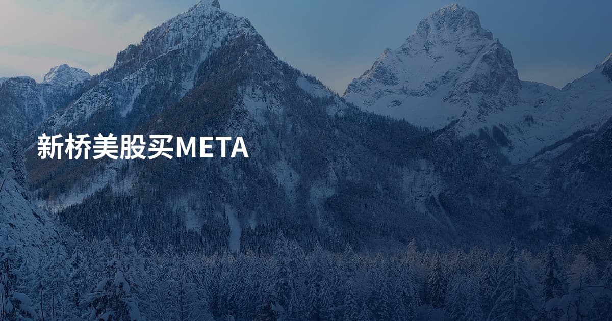 新桥美股买META