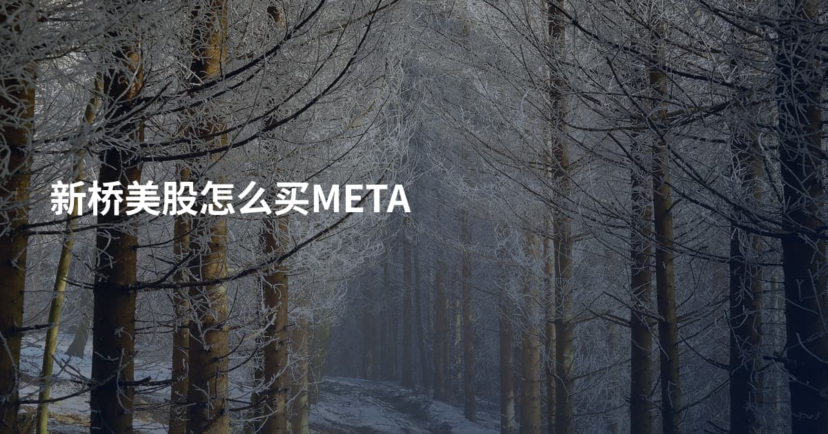 新桥美股怎么买META