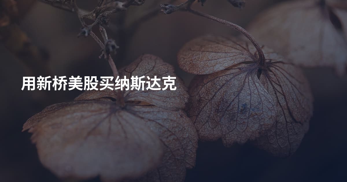用新桥美股买纳斯达克