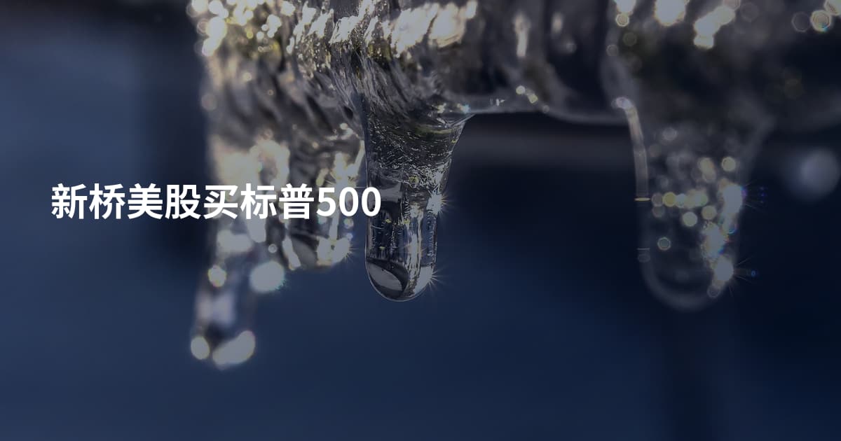 新桥美股买标普500
