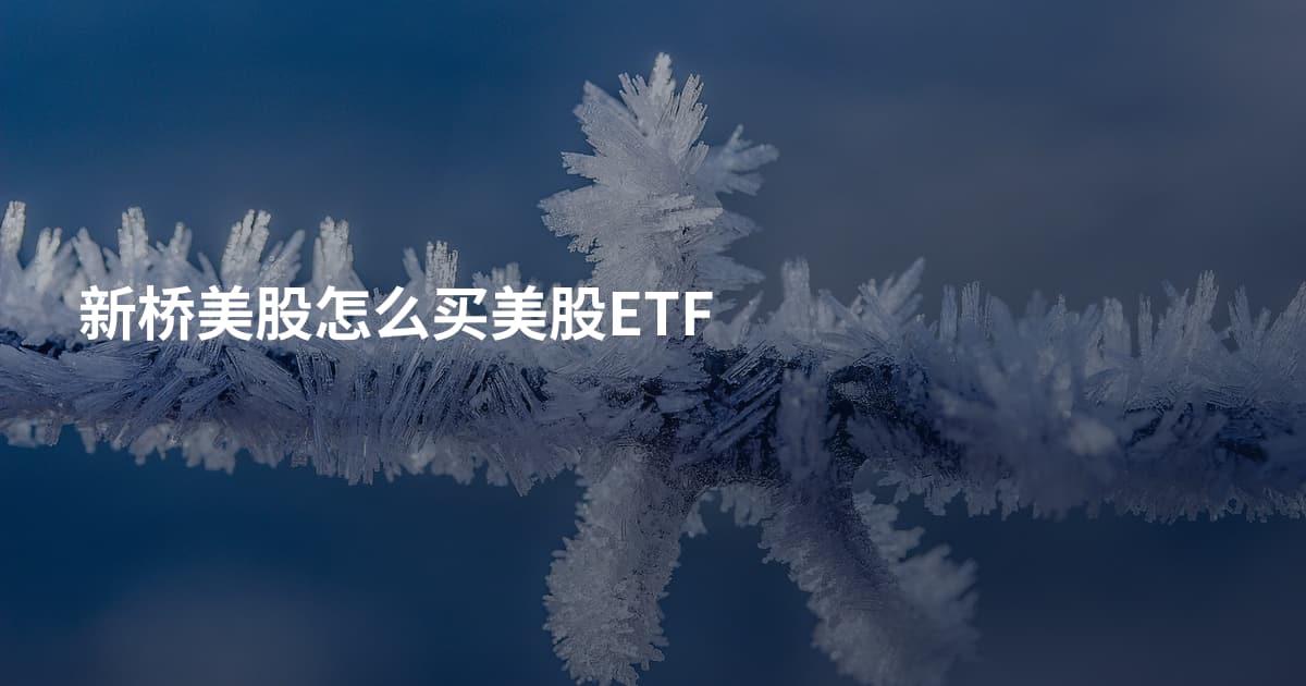 新桥美股怎么买美股ETF