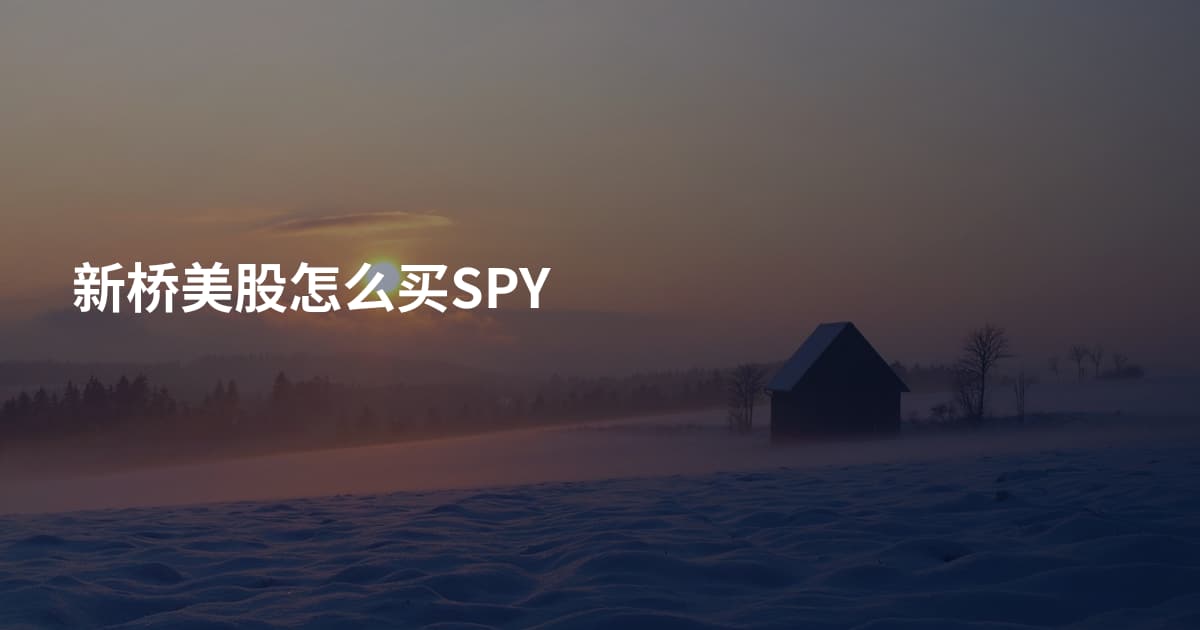新桥美股怎么买SPY