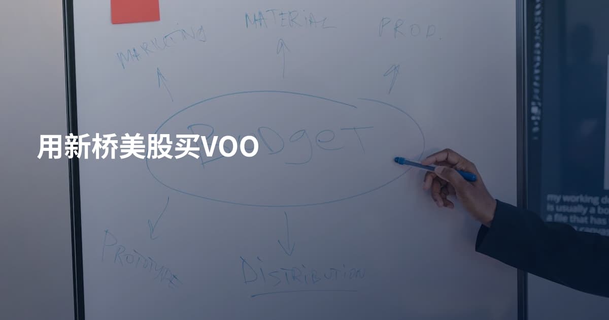 用新桥美股买VOO