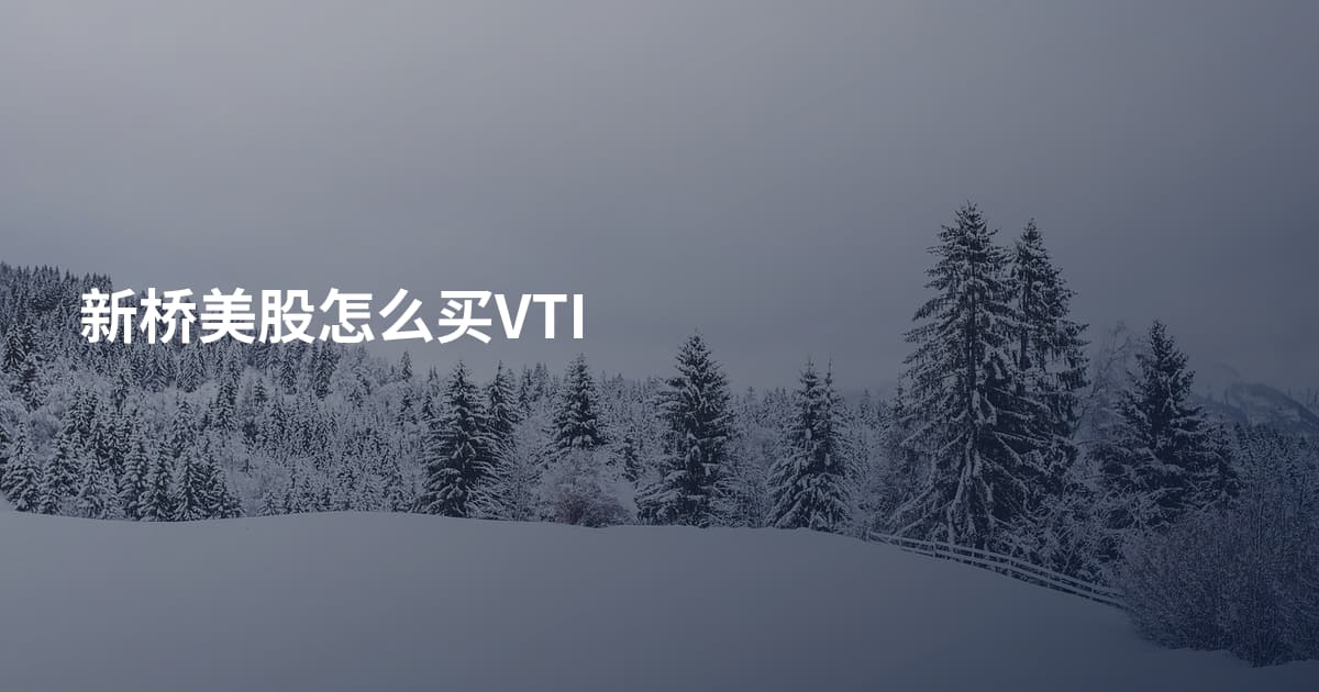 新桥美股怎么买VTI