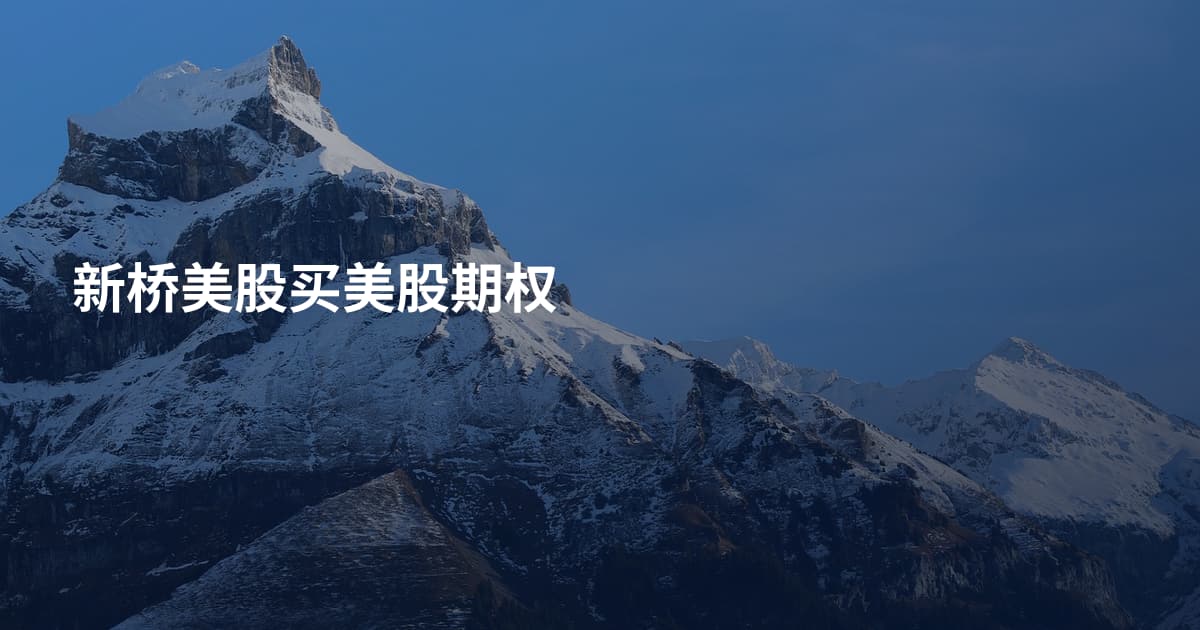 新桥美股买美股期权