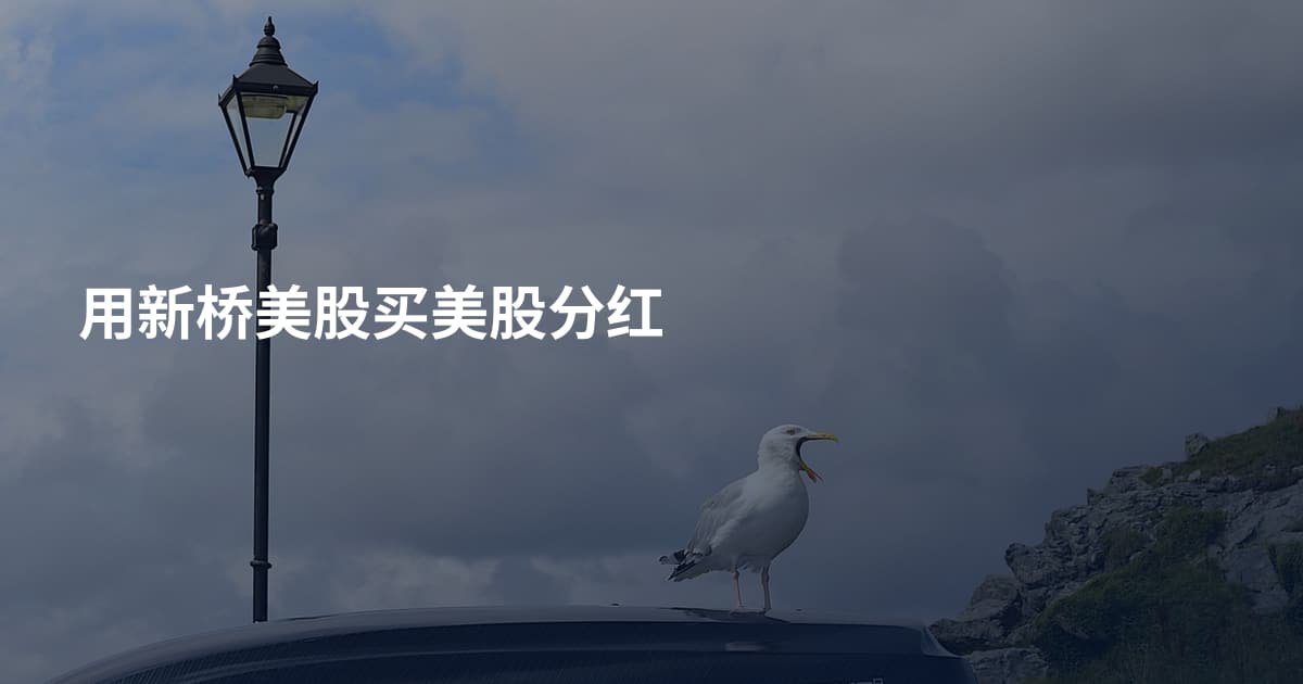 用新桥美股买美股分红