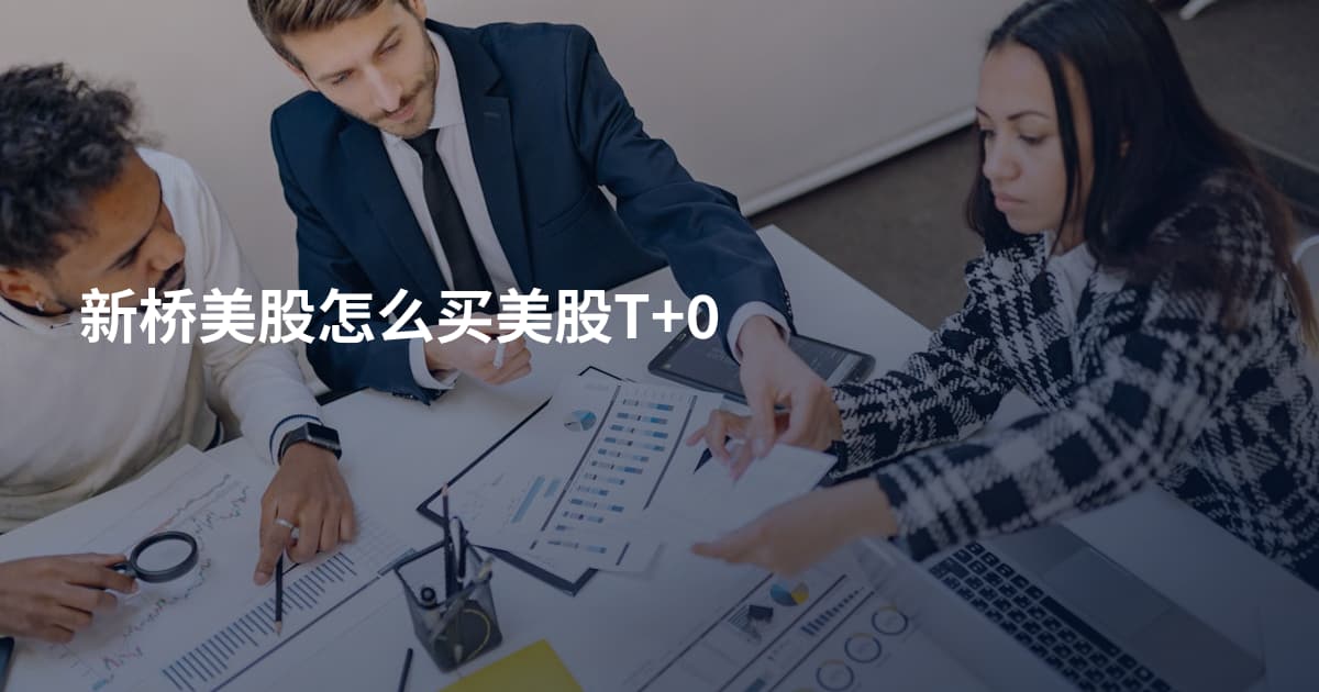 新桥美股怎么买美股T+0