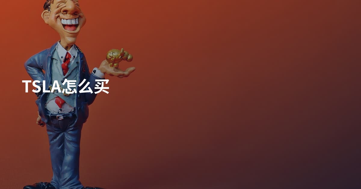 TSLA怎么买