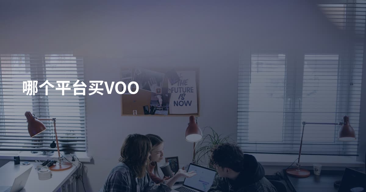 哪个平台买VOO