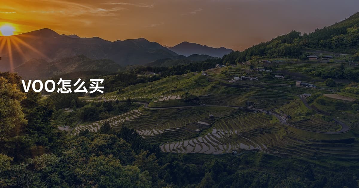 VOO怎么买