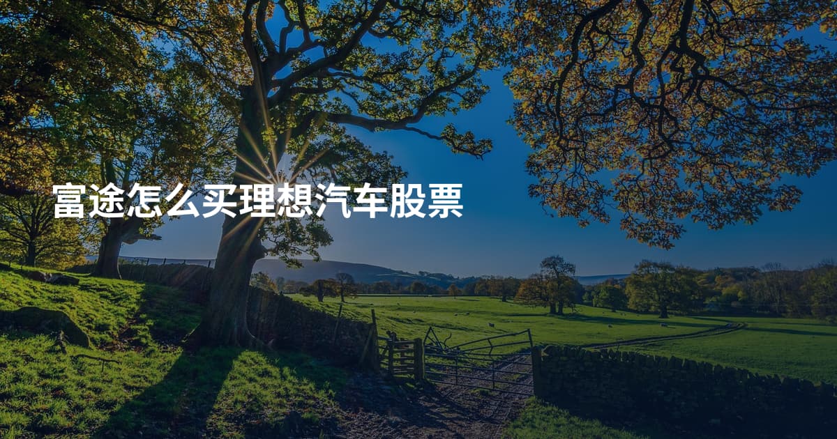 富途怎么买理想汽车股票