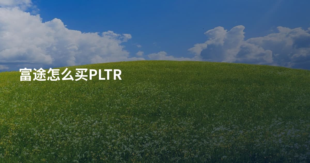 富途怎么买PLTR