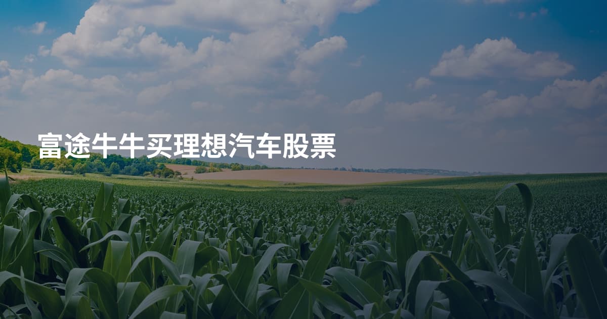 富途牛牛买理想汽车股票
