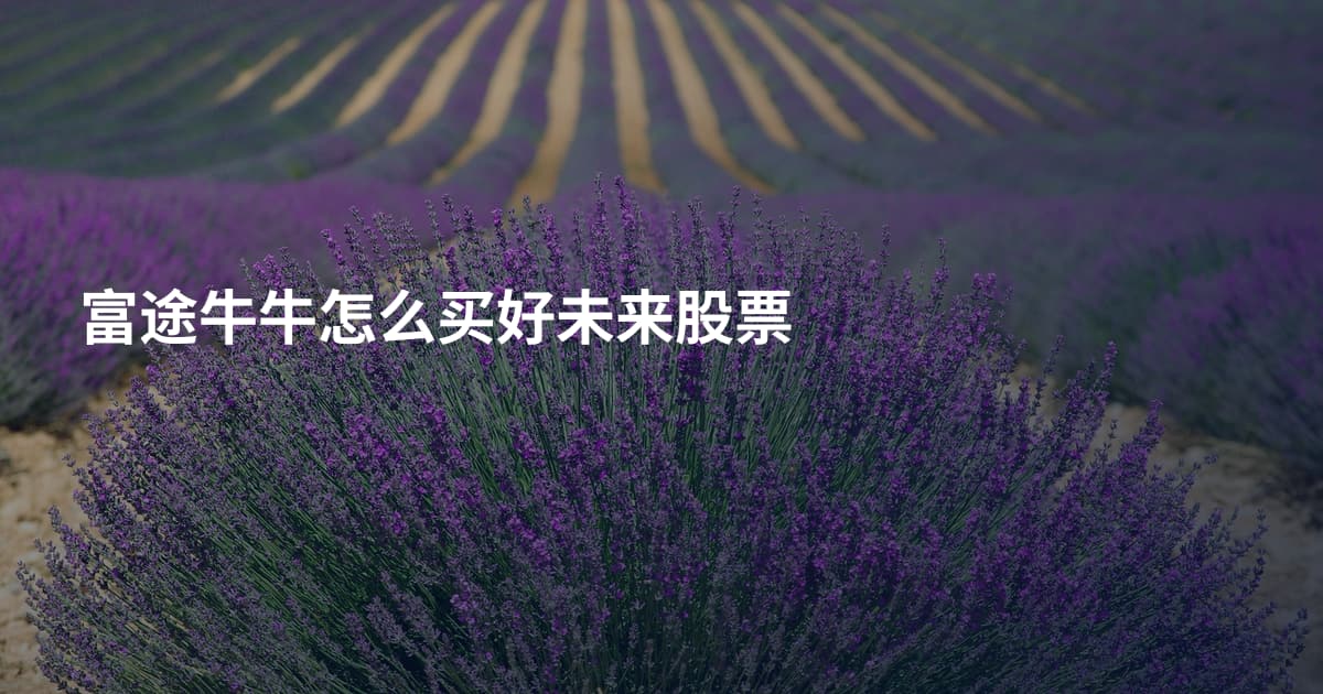 富途牛牛怎么买好未来股票