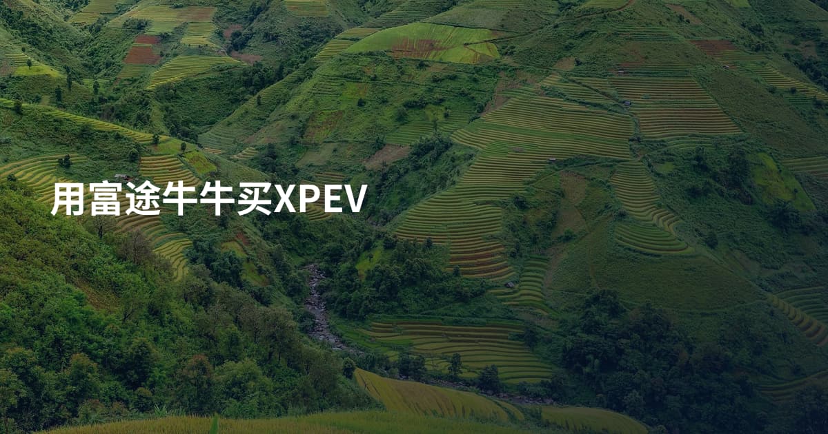 用富途牛牛买XPEV