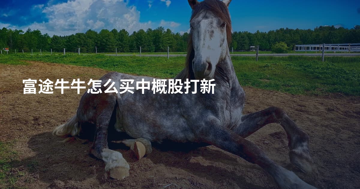 富途牛牛怎么买中概股打新