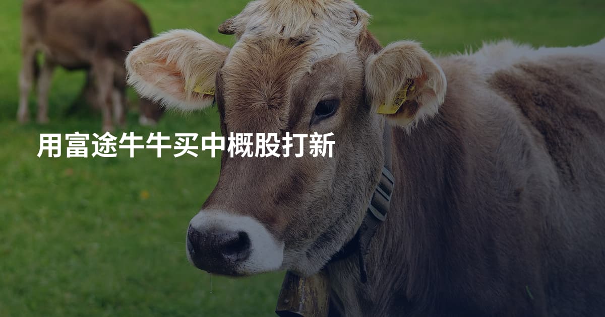 用富途牛牛买中概股打新