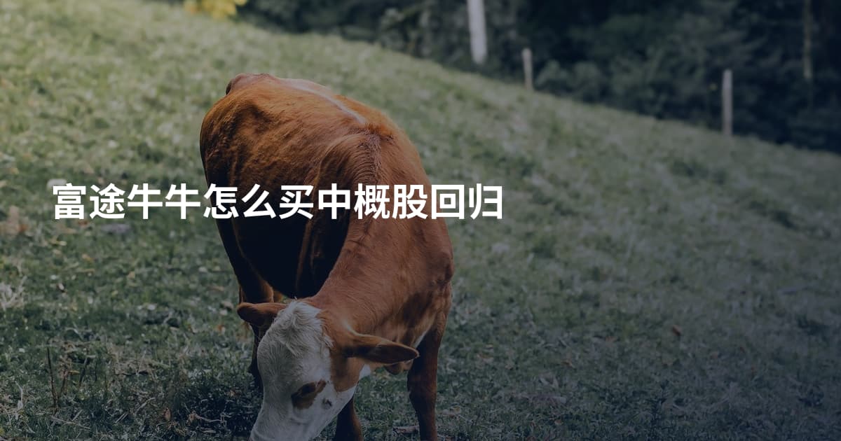 富途牛牛怎么买中概股回归