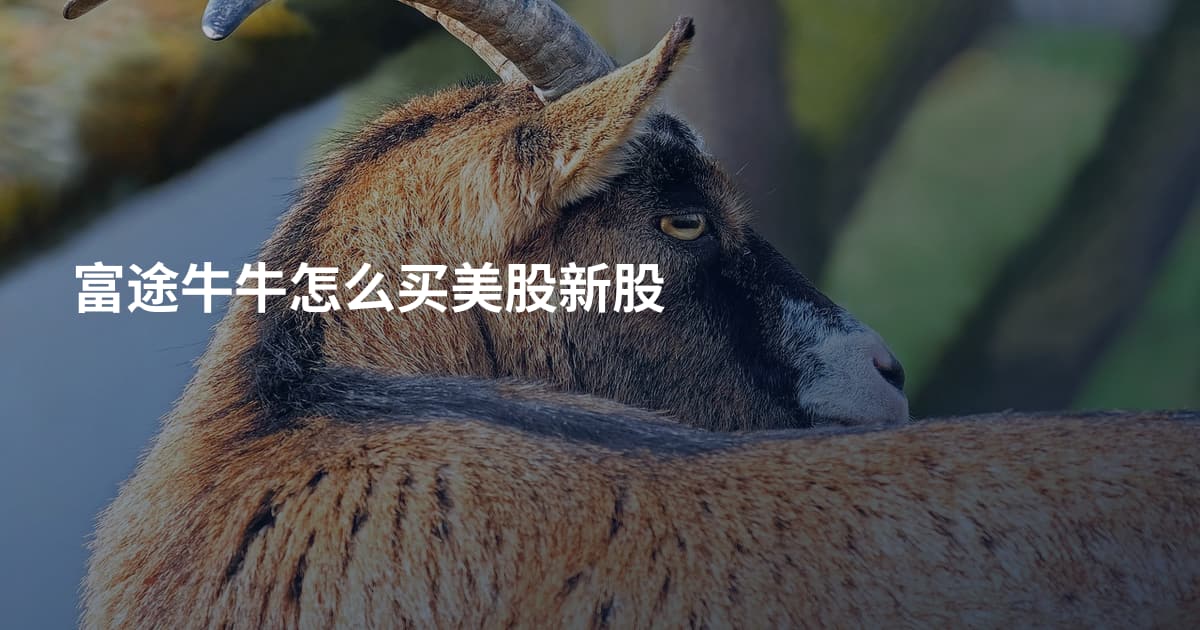 富途牛牛怎么买美股新股