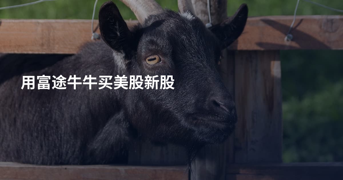用富途牛牛买美股新股