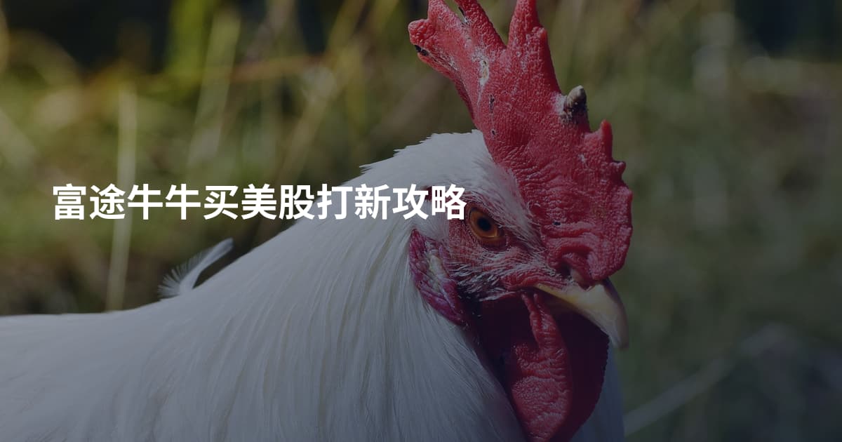 富途牛牛买美股打新攻略