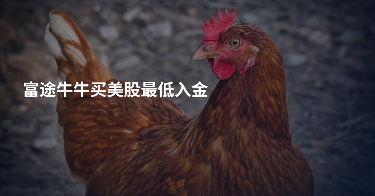 富途牛牛买美股最低入金