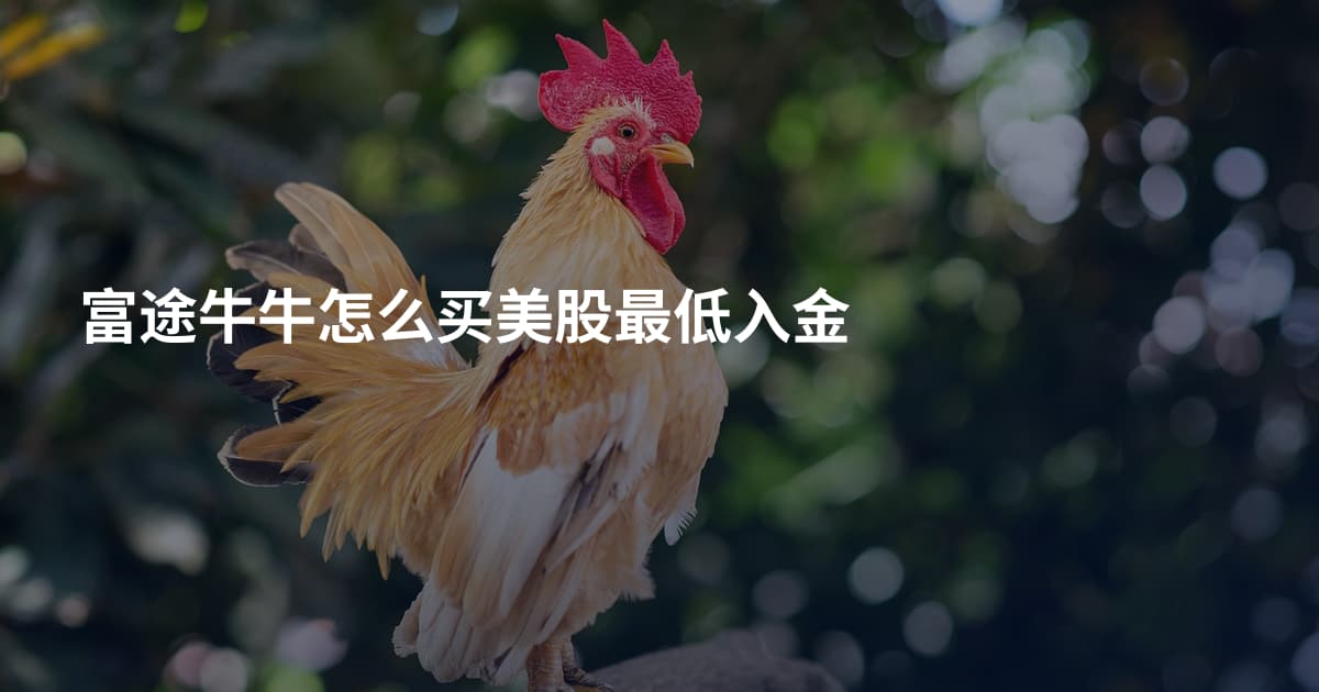 富途牛牛怎么买美股最低入金