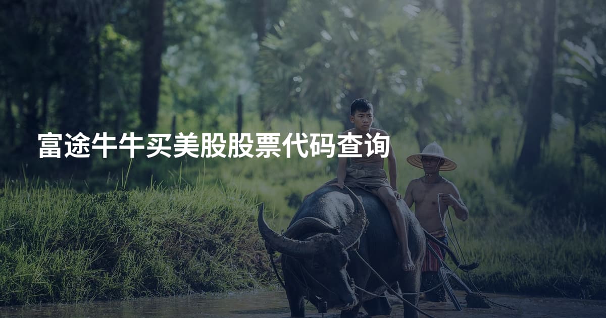 富途牛牛买美股股票代码查询