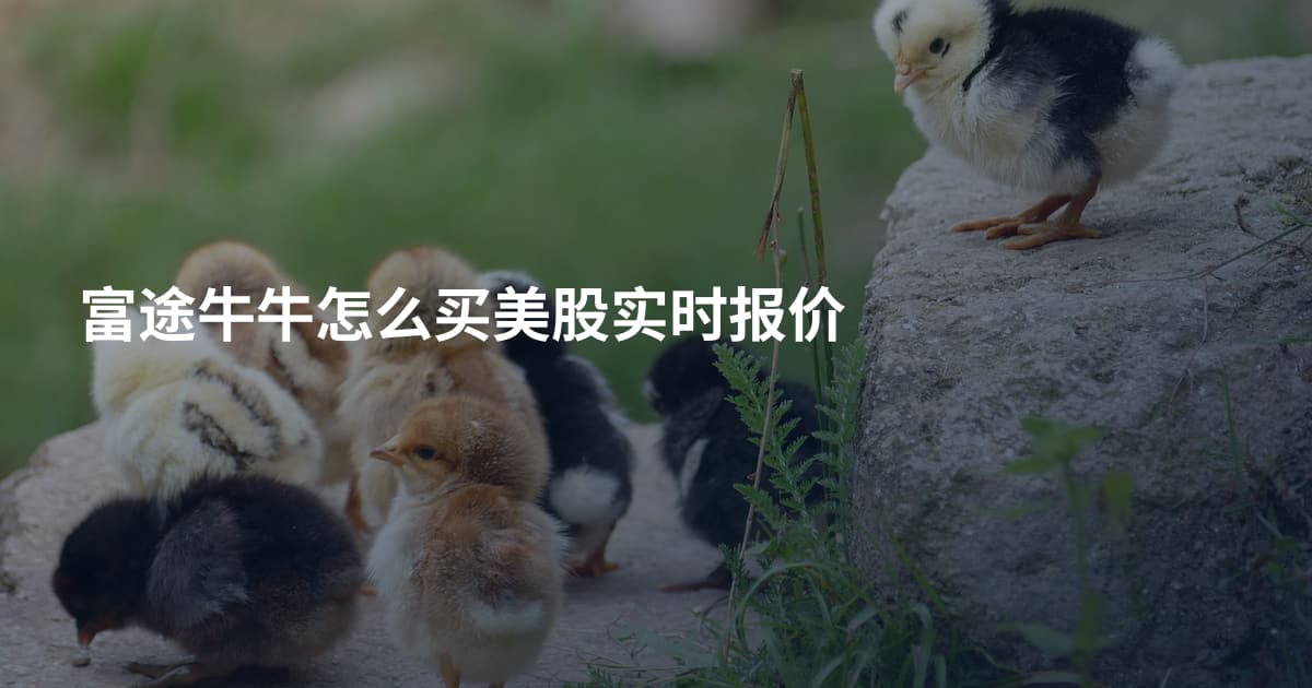 富途牛牛怎么买美股实时报价