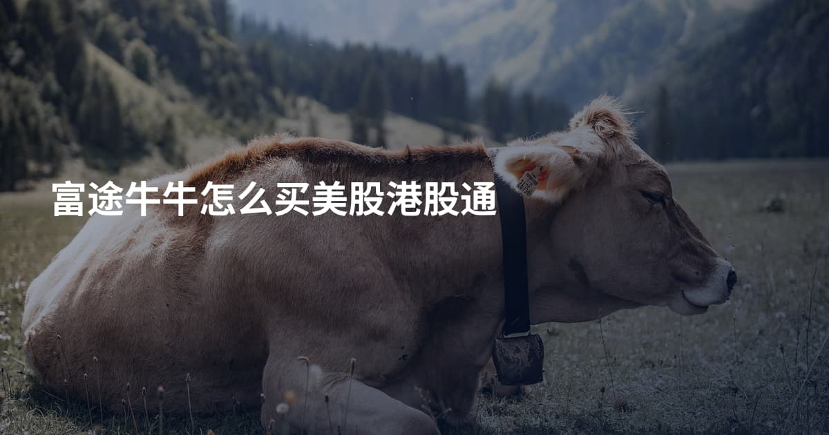 富途牛牛怎么买美股港股通