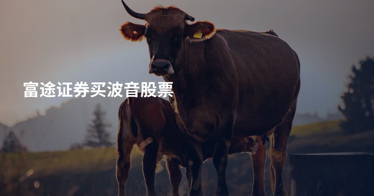 富途证券买波音股票