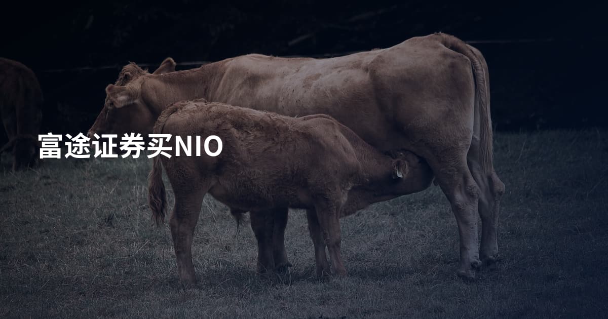 富途证券买NIO