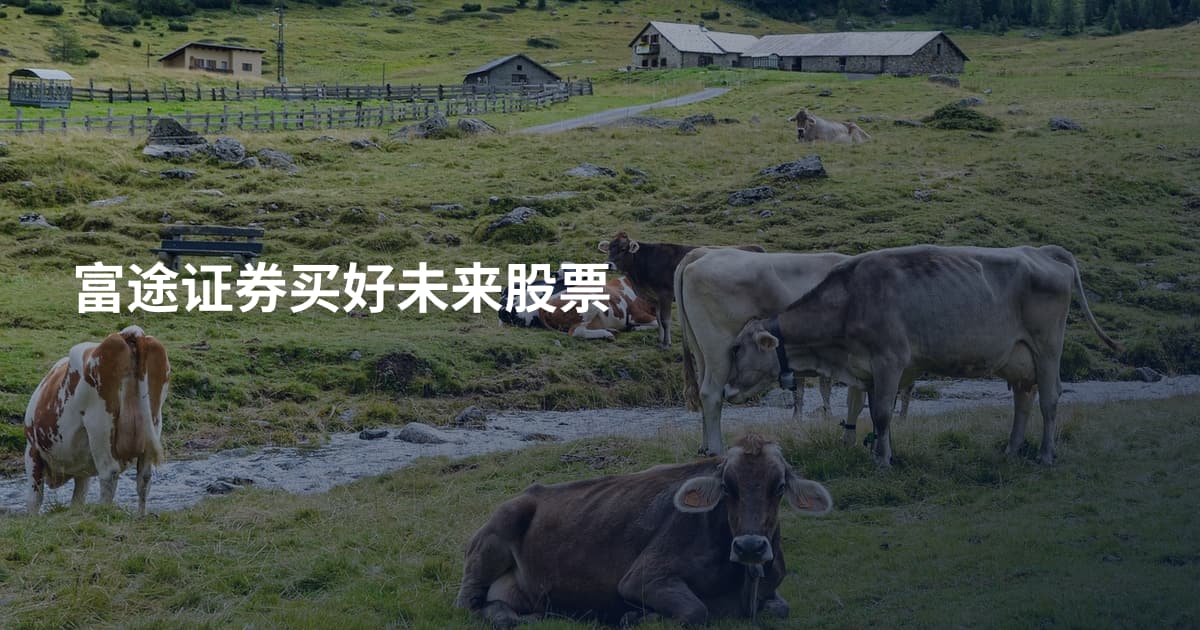 富途证券买好未来股票