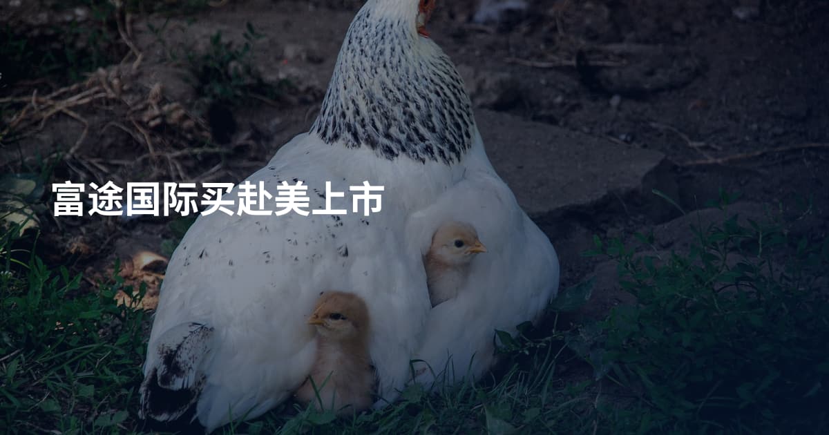 富途国际买赴美上市