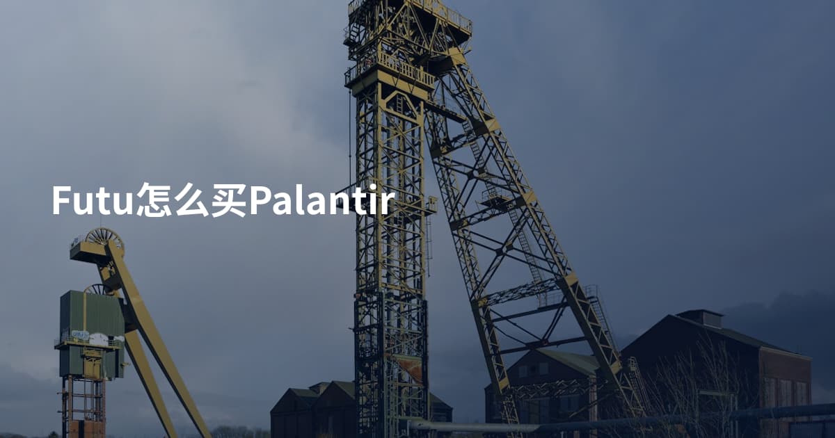 Futu怎么买Palantir