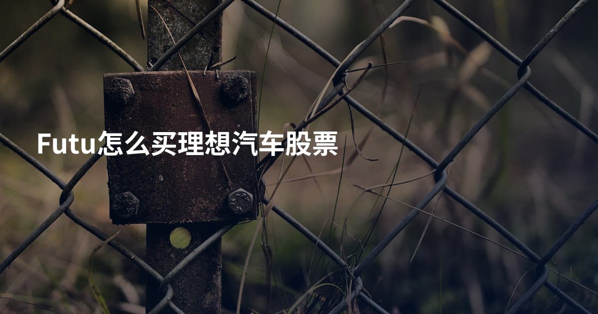 Futu怎么买理想汽车股票