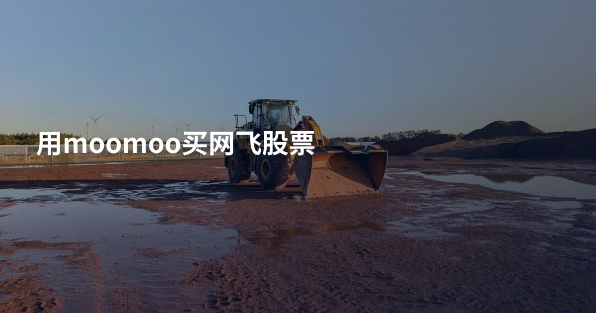 用moomoo买网飞股票