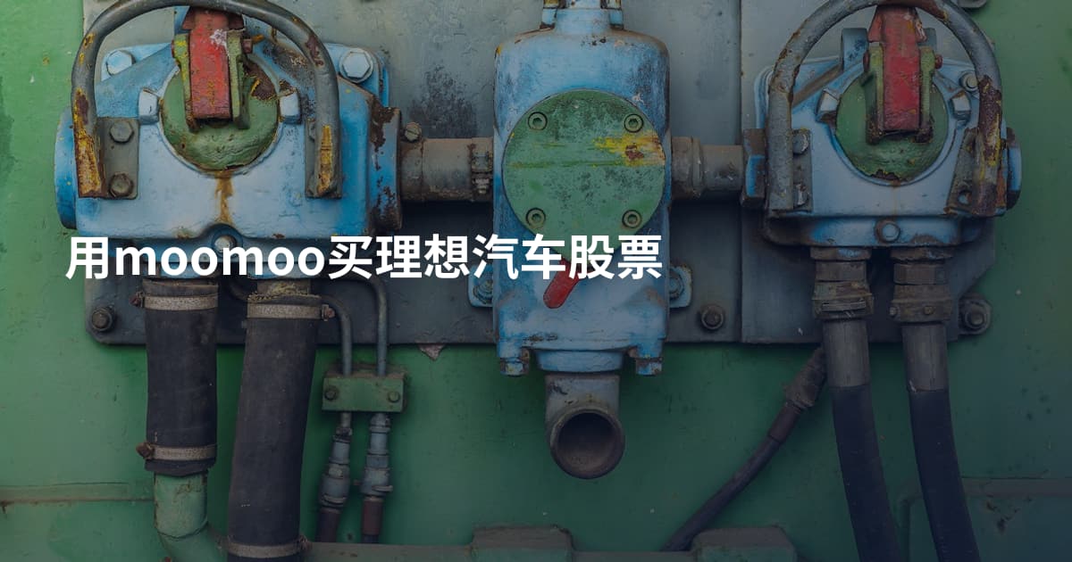 用moomoo买理想汽车股票