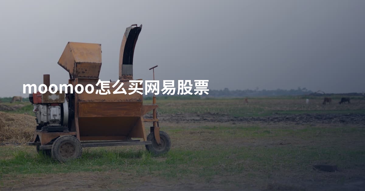 moomoo怎么买网易股票