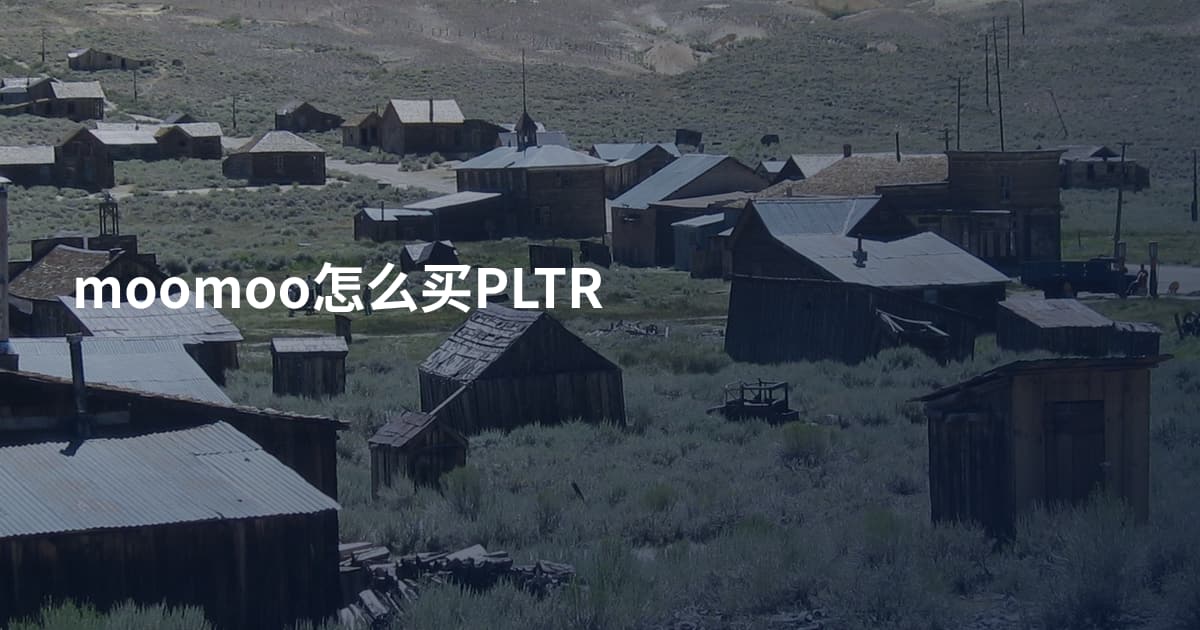 moomoo怎么买PLTR