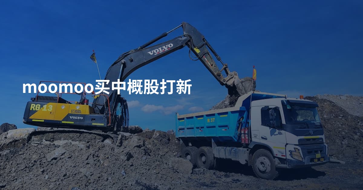 moomoo买中概股打新